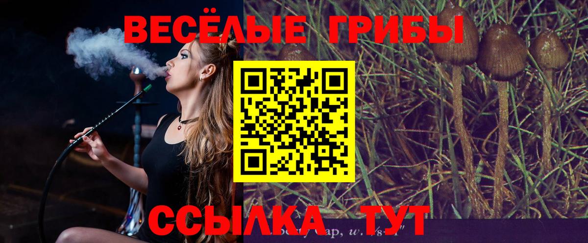 Псилоцибиновые грибы мицелий  Вход с VPN  Томск 
