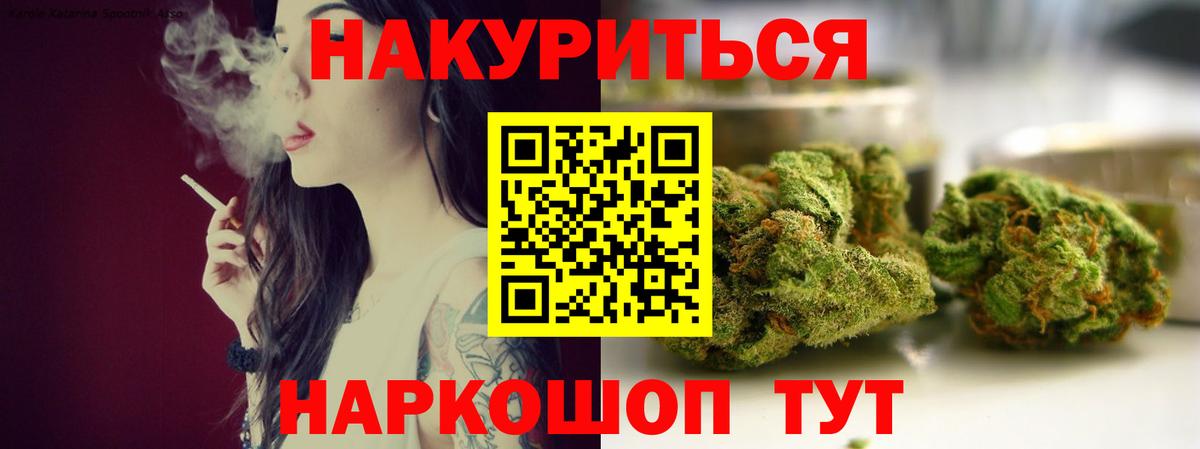 Конопля сатива Томск